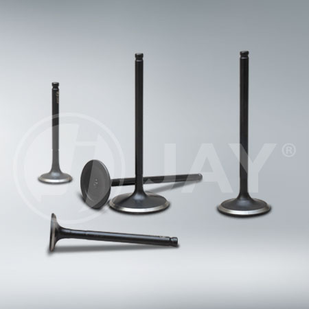 Engine Valves